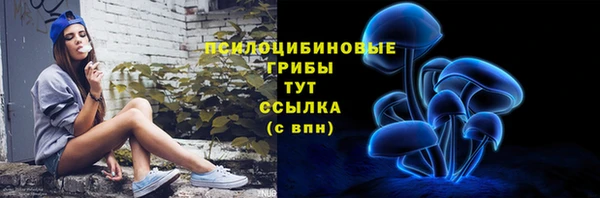скорость Алексин