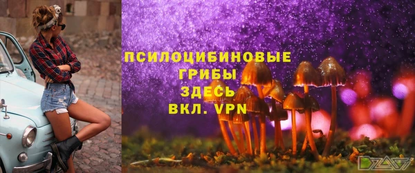 дживик Алзамай