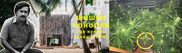 дживик Алзамай